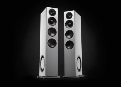 Definitive Technology Demand Series High-Performance 3-Way Tower Speaker With 10 Inch Passive Bass Radiators - D17 Right (W)