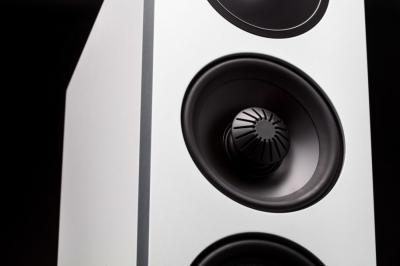 Definitive Technology Demand Series High-Performance 3-Way Tower Speaker With 10 Inch Passive Bass Radiators - D17 Right (W)