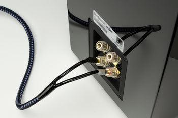 SVSound SoundPath 8 Feet Ultra Speaker Cable - SVS-SP-ULTSPKBAN8F